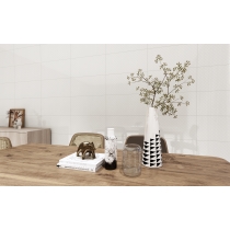 VECTORA - 12X24, WHITE, GLOSSY